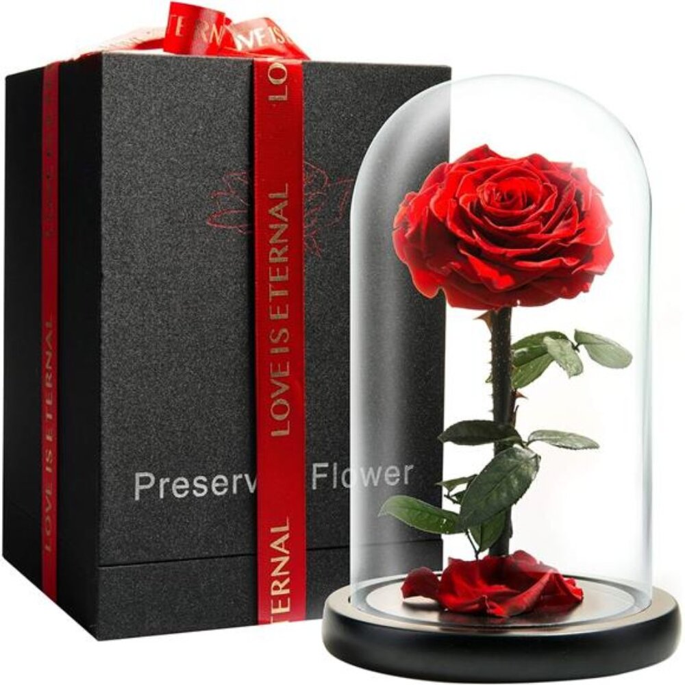 Forever Preserved Rose - Eternal Rose in Glass Dome - Beauty and The Beast Rose